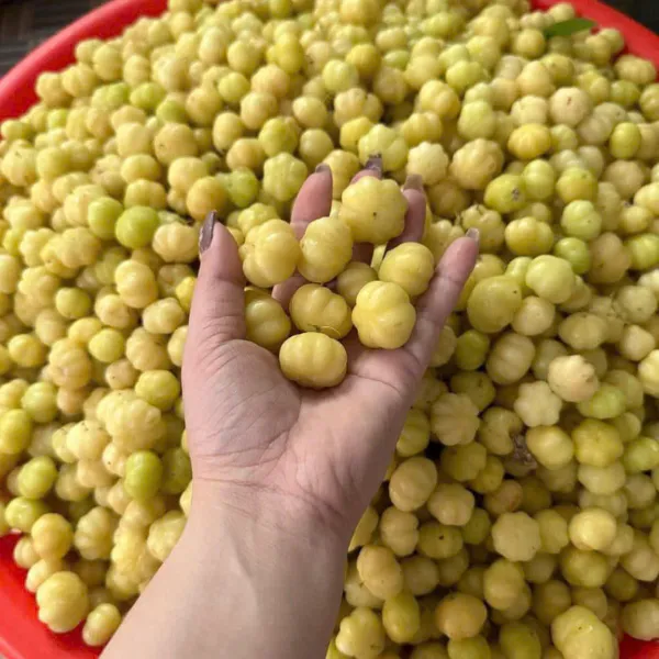 Chùm Ruột Rim Mật Ong Hộp 500g