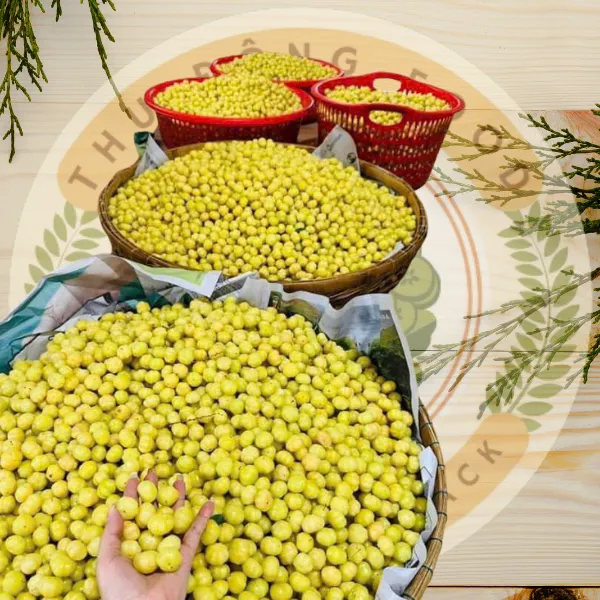 Chùm Ruột Rim Mật Ong Hộp 500g