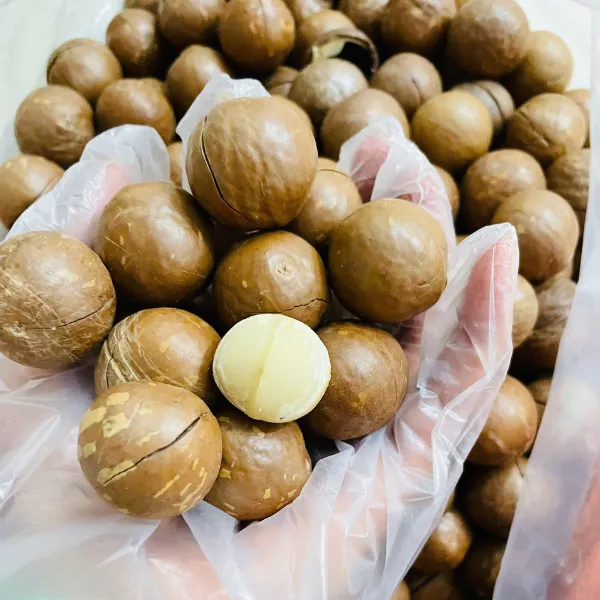 Hạc Macca Úc Size Đại Hủ 500gr
