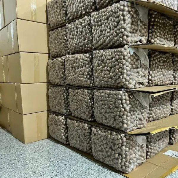 Hạc Macca Úc Size Đại Hủ 500gr