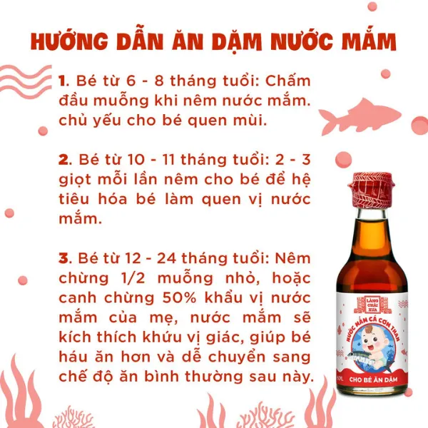 Nước Mắm Cá Cơm Than Cho Bé Ăn Dặm 6 Tháng Tuổi