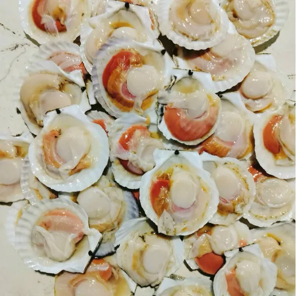 Sò Điệp Nhật Nguyên Con Túi 1kg