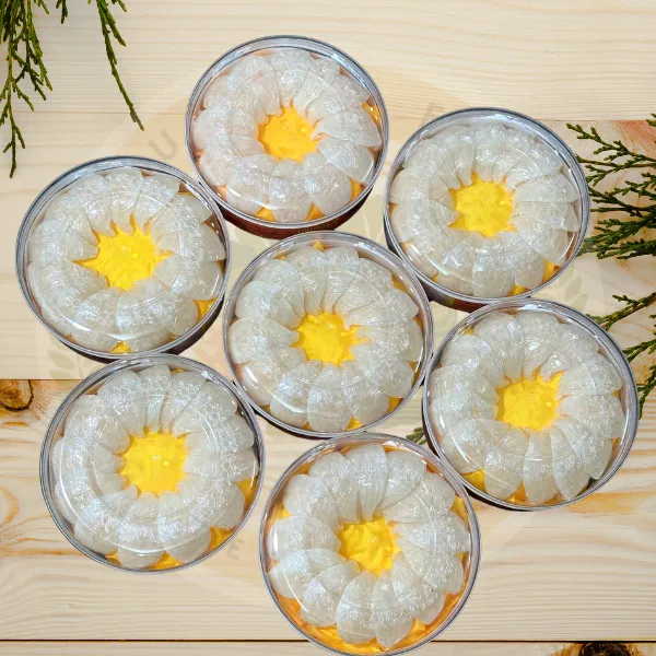 Tổ Yến Khánh Hòa Rút Lông Định Hình