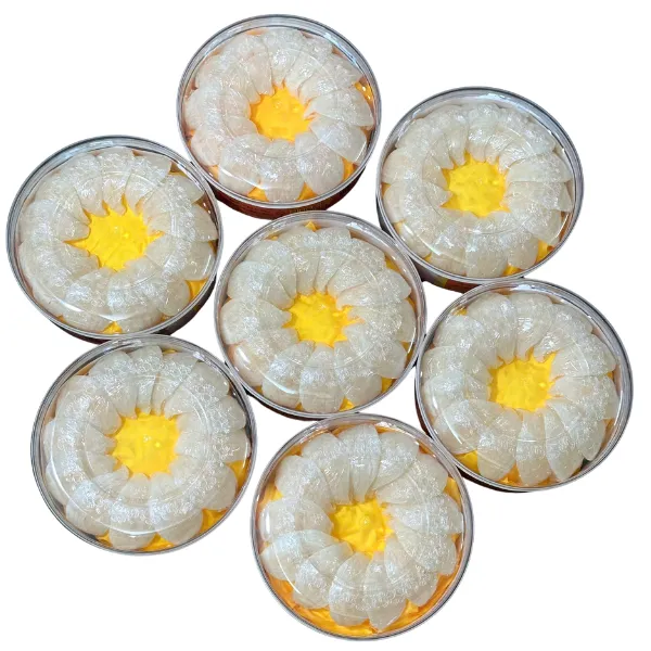 Tổ Yến Khánh Hòa Rút Lông Định Hình