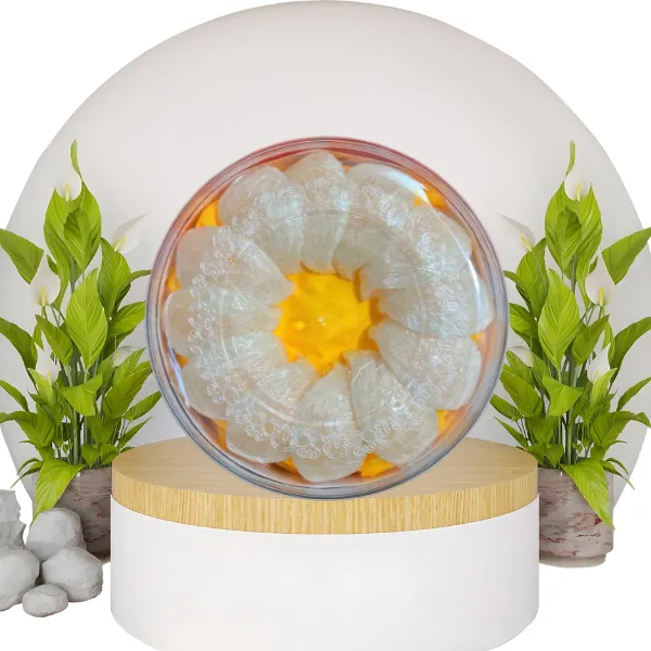 Tổ Yến Khánh Hòa Rút Lông Định Hình