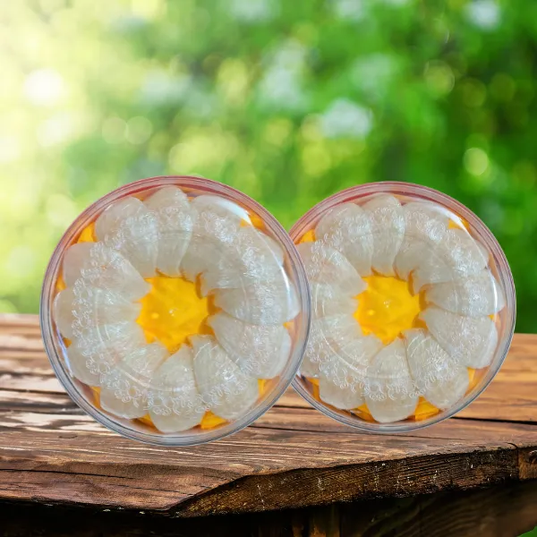 Tổ Yến Khánh Hòa Rút Lông Định Hình