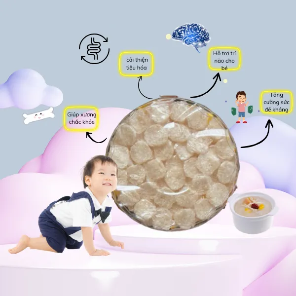 Tổ Yến Tinh Chế Baby