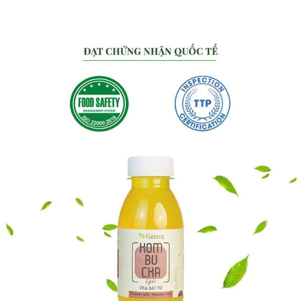 Vkombucha Light- Mix Vị (Pack 6 chai x 250ml)