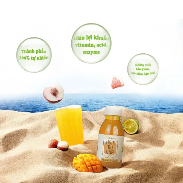 Vkombucha Light- Mix Vị (Pack 6 chai x 250ml)