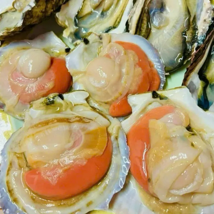 Sò Điệp Nhật Nguyên Con Túi 1kg