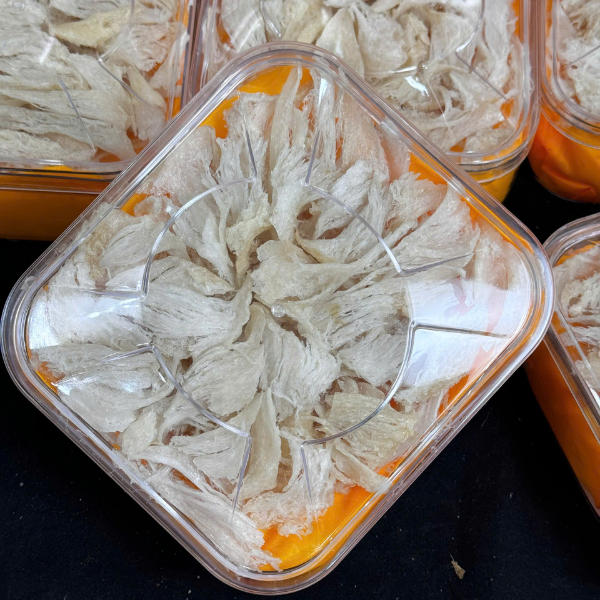 Tổ Yến Chân Rìa Sạch Lông Tổ Yến Chân Rìa Sạch Lông