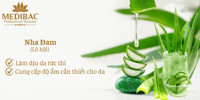 Nha Đam - Quà tặng từ thiên nhiên Nha Đam - Quà tặng từ thiên nhiên