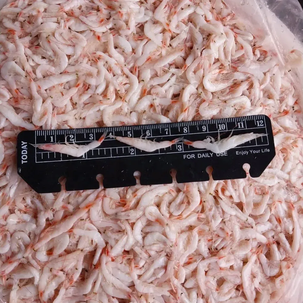 Salted Baby Shrimp