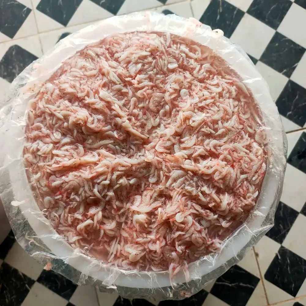 Salted Baby Shrimp