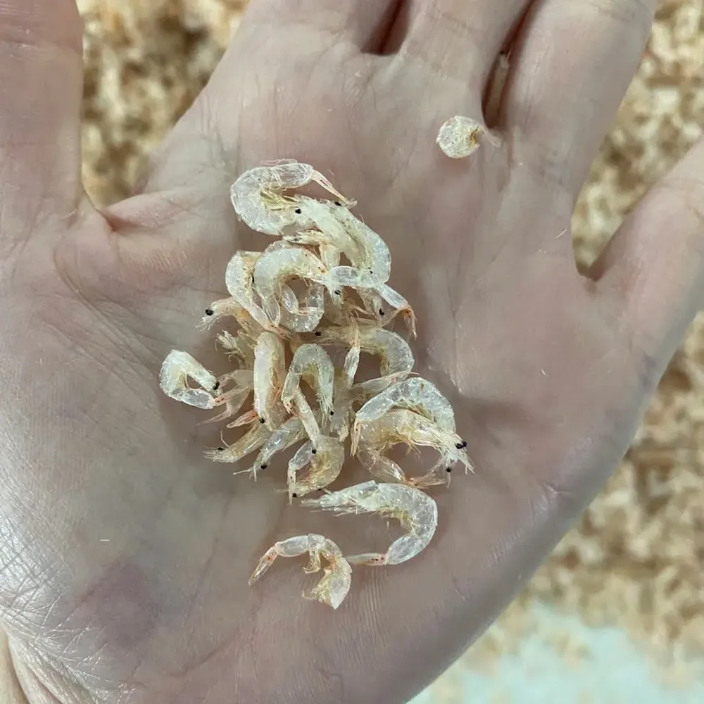 Dried Baby Shrimp
