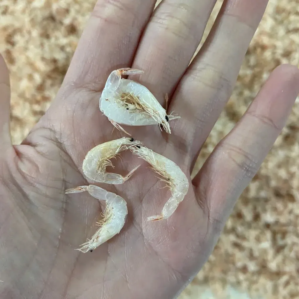 Dried Baby Shrimp