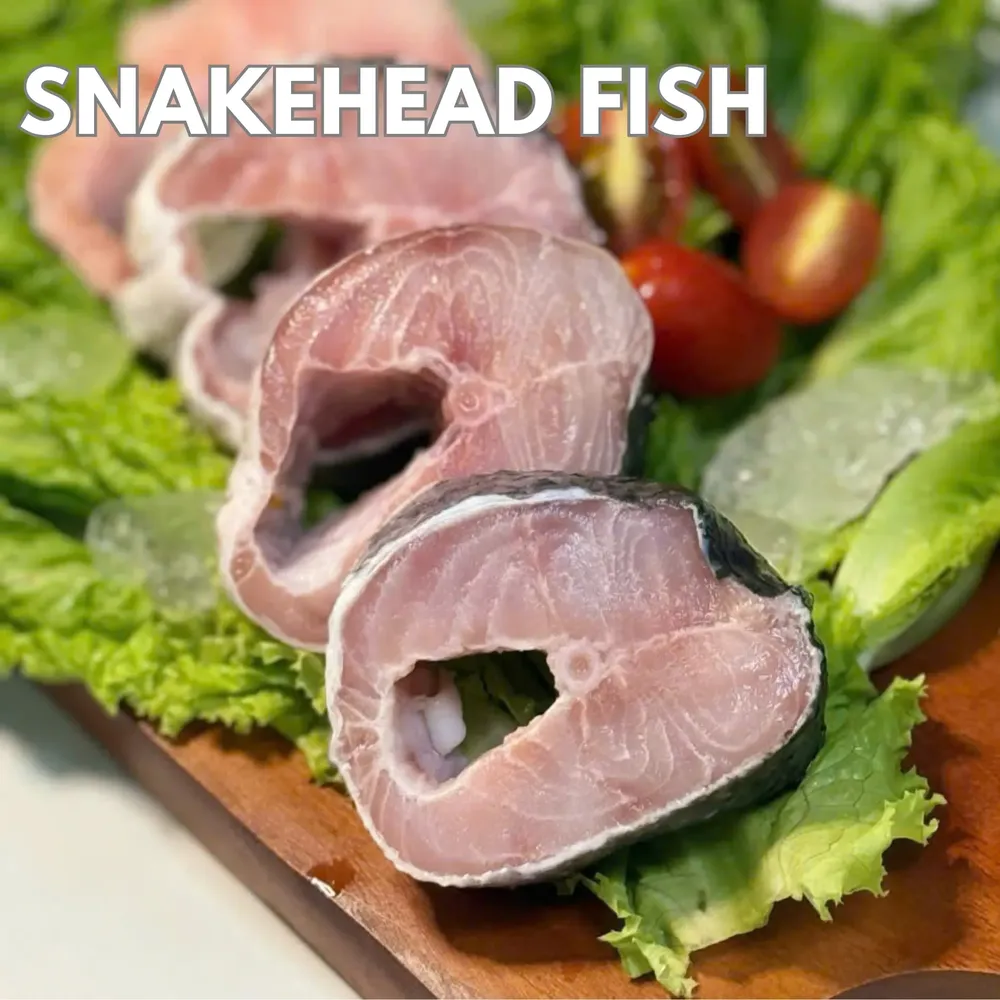 Snakehead Fish