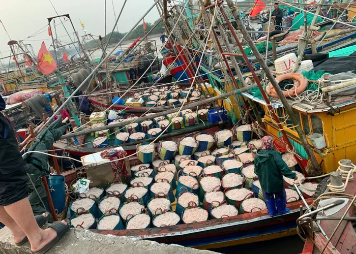 TIÊU CHUẨN NGUYÊN LIỆU ĐẦU VÀO