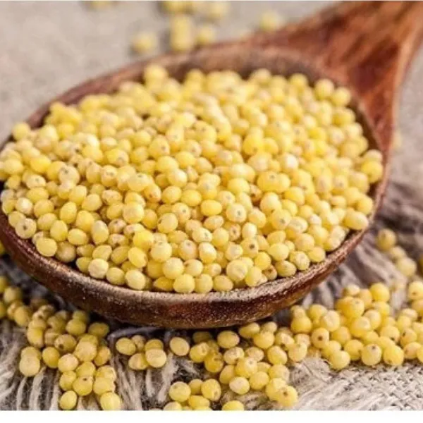 Hạt kê nếp vàng đã bóc vỏ - 1kg