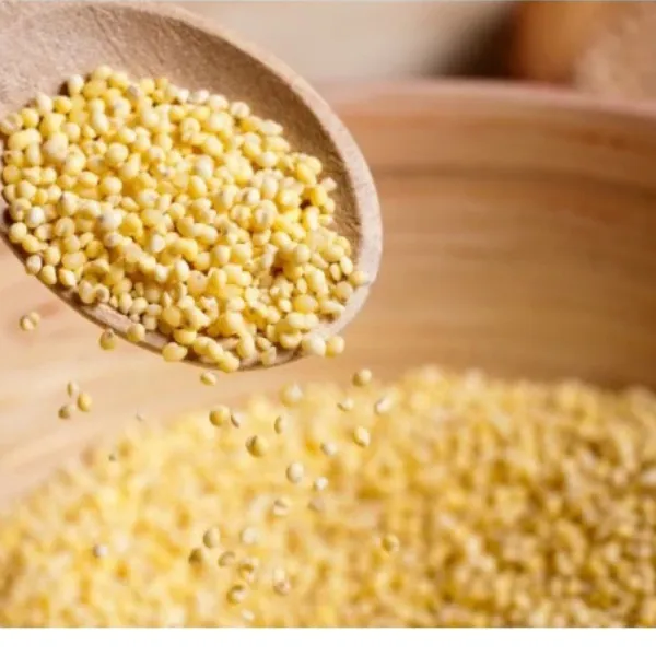 Hạt kê nếp vàng đã bóc vỏ - 1kg