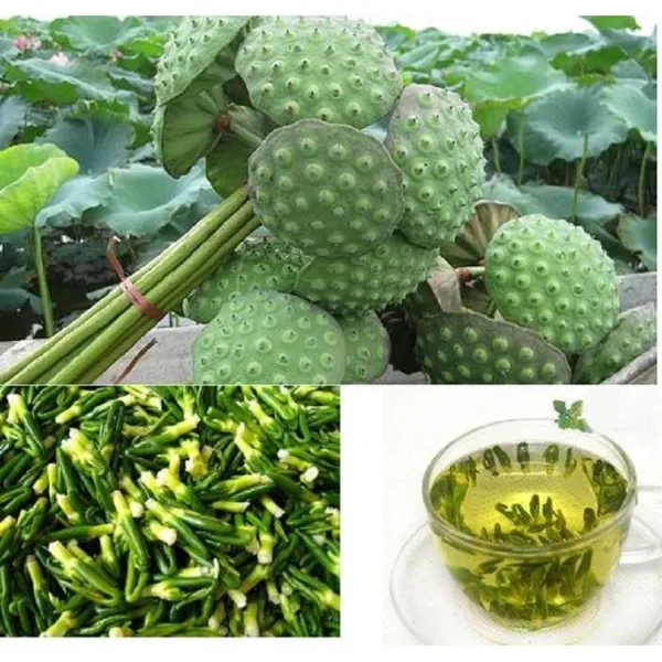 Tâm Sen Khô (Tim Sen Khô) – 100g