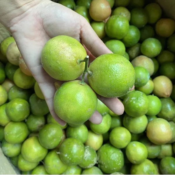 Chanh Đào Tươi Hòa Bình – 1Kg