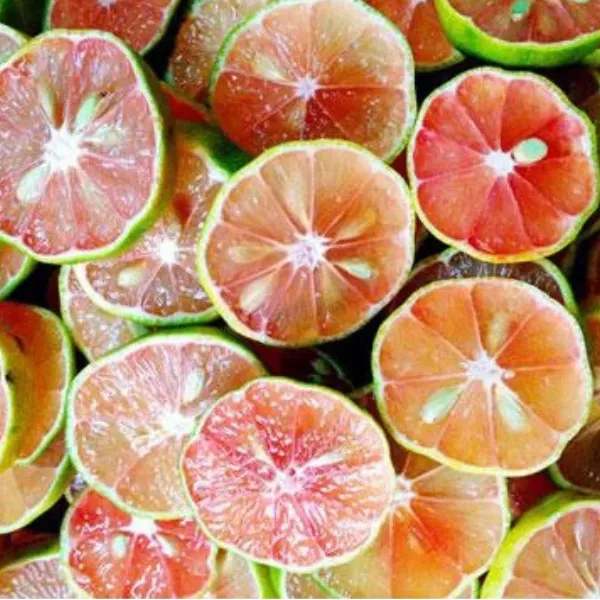 Chanh Đào Tươi Hòa Bình – 1Kg