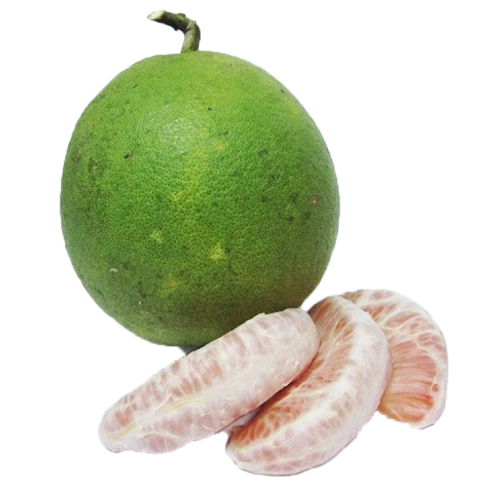 Bưởi da xanh Bến Tre Bưởi da xanh Bến Tre