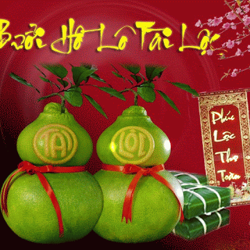 Bưởi Hồ Lô Tài Lộc Tết 2014 Bưởi Hồ Lô Tài Lộc Tết 2014