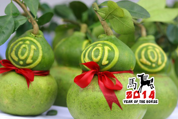 Bưởi Tài Lộc Bưởi Tài Lộc