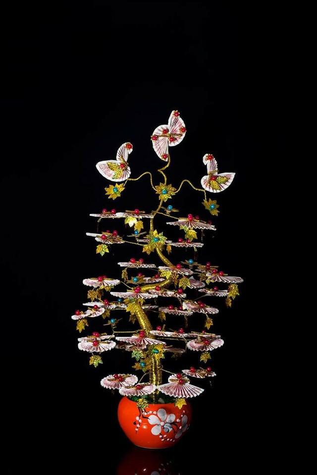 Cây tiền thật Cây tiền thật