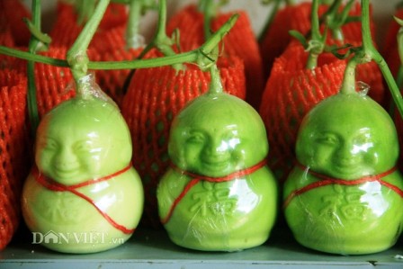 Dưa lê thần tài giá rẻ Dưa lê thần tài giá rẻ