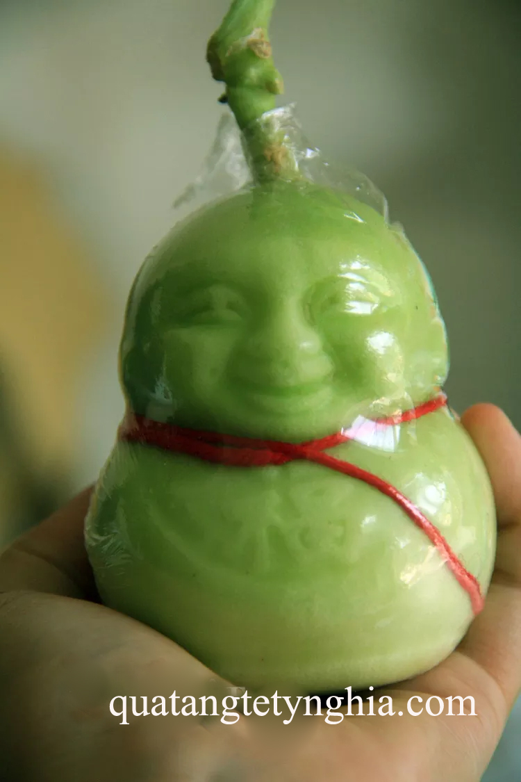 Dưa lê thần tài mua ở đâu Dưa lê thần tài mua ở đâu