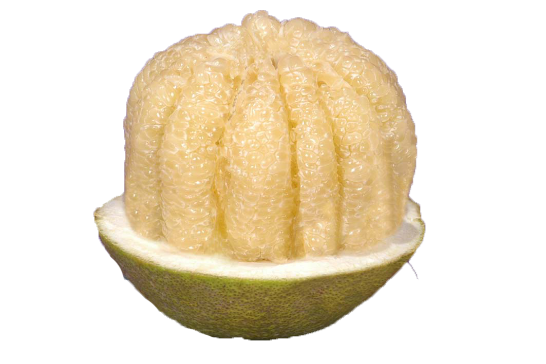 Múi bưởi năm roi Múi bưởi năm roi