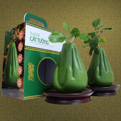 Quà tết bưởi bàn tay Phật