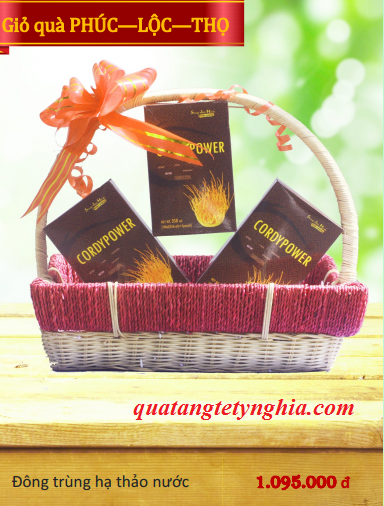 Quà tết sang trọng Quà tết sang trọng