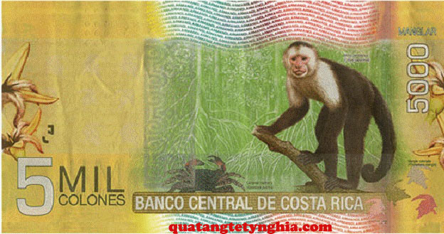 Tiền costa rica hình con khỉ Tiền costa rica hình con khỉ
