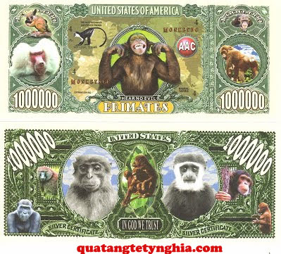 Tiền lì xì triệu đô Mỹ Tiền lì xì triệu đô Mỹ