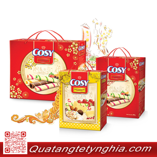 Túi quà biếu tết Túi quà biếu tết