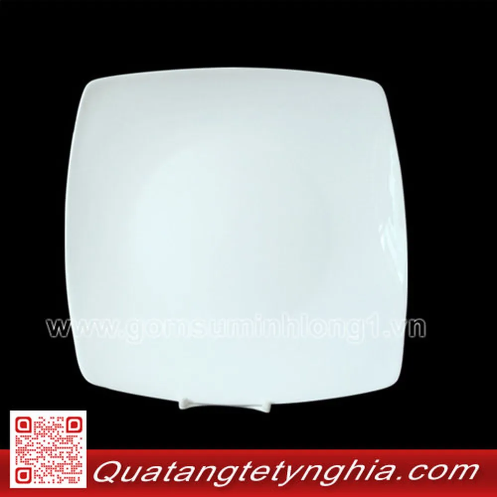 Dĩa vuông ảo 25cm(Came) Daisy