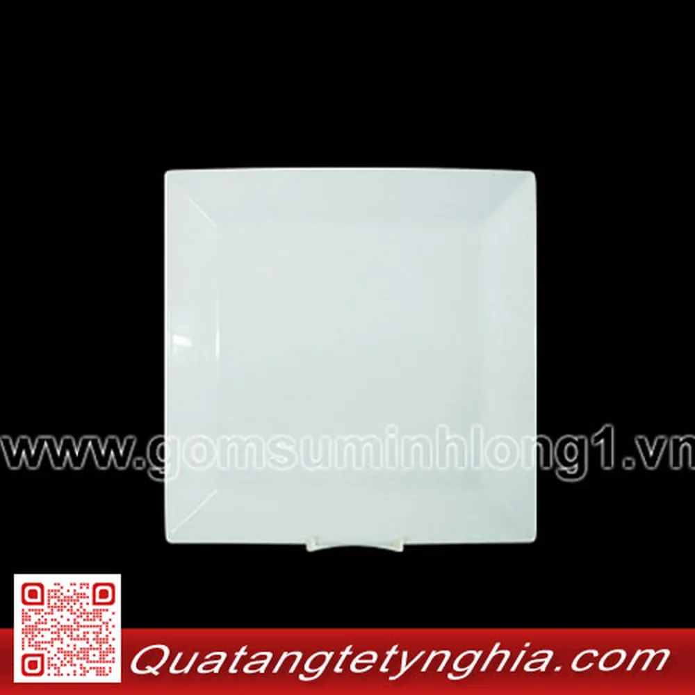 Dĩa vuông lá 22cm Daisy