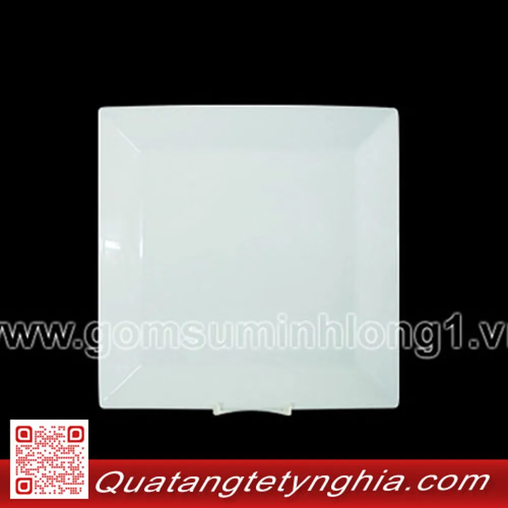 Dĩa vuông lá 25cm Daisy