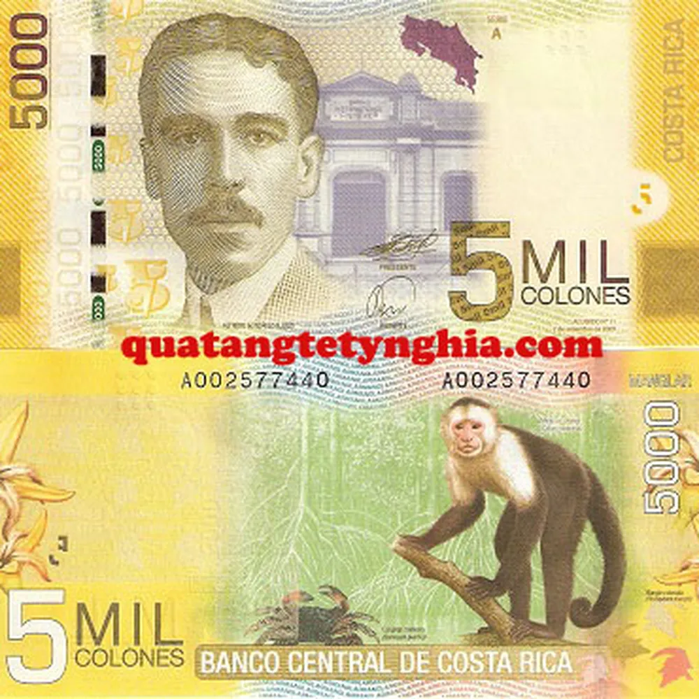 Tiền lì xì in hình khỉ CostaRica