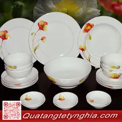 Bộ bàn ăn 22sp Jas IFP Anh Túc