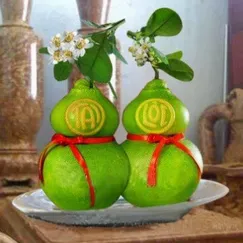 Bưởi Hồ Lô Tài Lộc