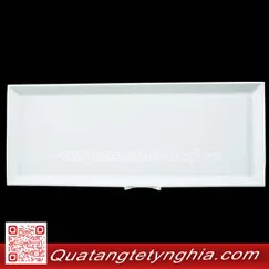 Dĩa chữ nhật 50*21cm Daisy