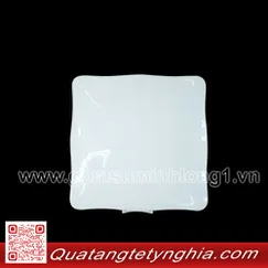 Dĩa Vuông 23cm Mẩu Đơn