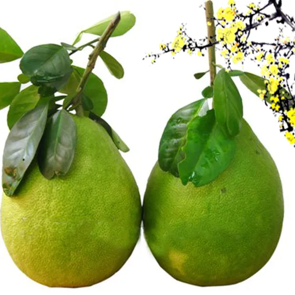 Bưởi Năm Roi