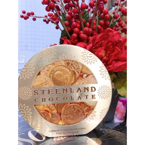 Hộp Kẹo Sô Cô La Đồng Xu Steenland 180G