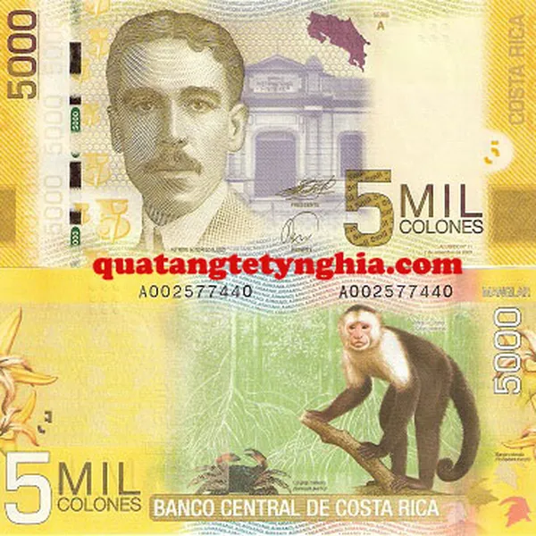 Tiền lì xì in hình khỉ CostaRica